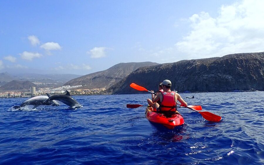Tenerife: Kayak and Snorkel with Turtles, Wetsuits Included - Snorkeling in a bay reached by water