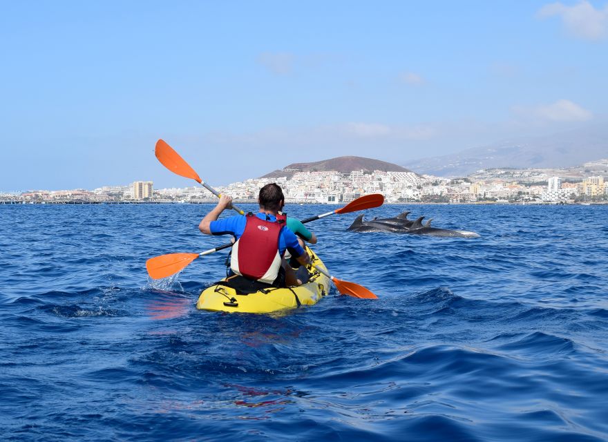 Tenerife: Kayak and Snorkel with Turtles, Wetsuits Included - What the $35 price really covers