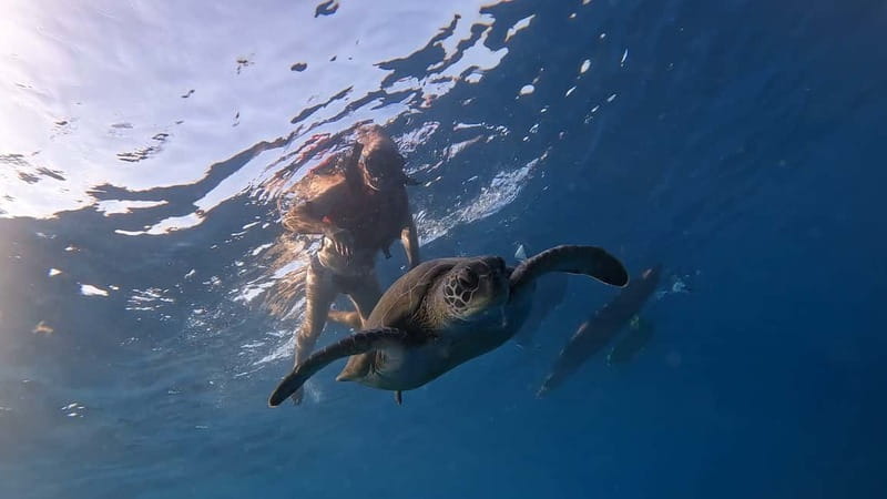 Tenerife: Kayak and Snorkeling Tour with Photos - Key points at a glance