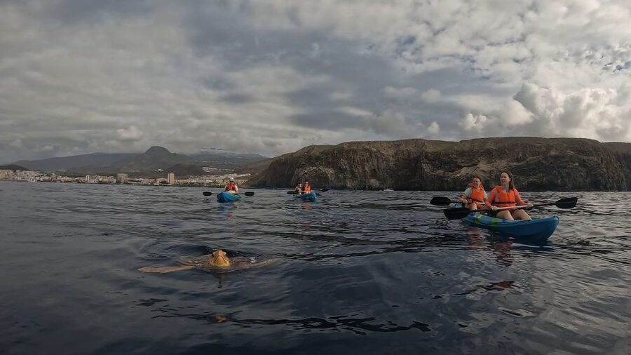 Tenerife: Kayak and Snorkeling Tour with Photos - Practical advice for a smoother morning