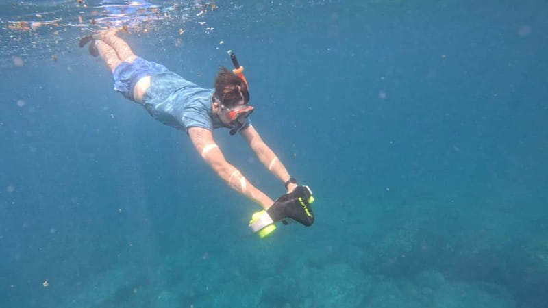 Tenerife: Kayak and Snorkeling Tour with Photos - A 2.5-hour view of Tenerife from the sea