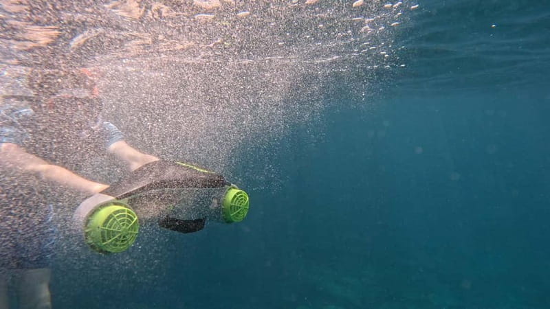 Tenerife: Kayak and Snorkeling Tour with Photos - Wildlife watching around Los Cristianos