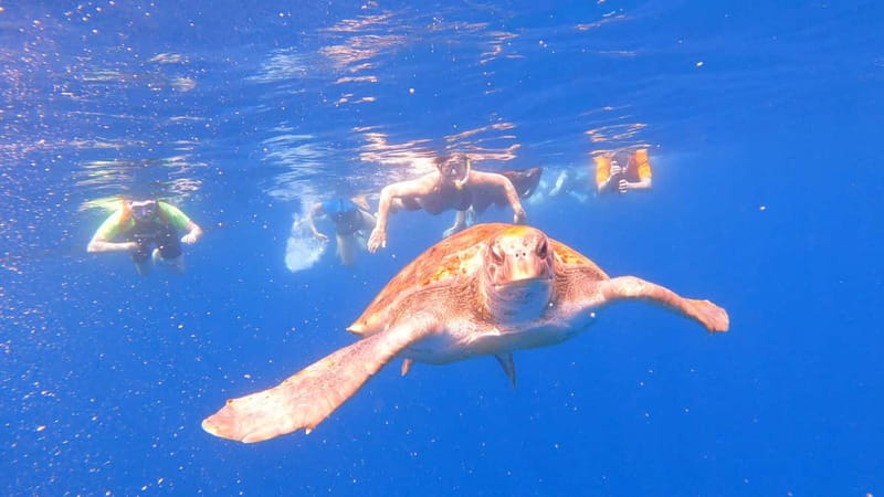 Tenerife: Kayak and Snorkeling Tour with Photos - Starting at Los Cristianos without carrying the kayaks