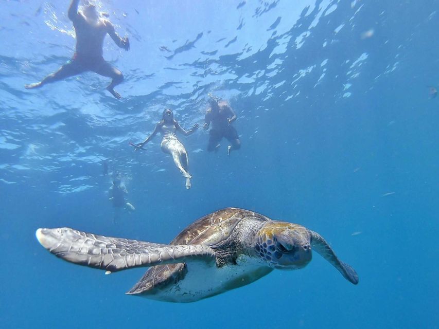 Tenerife: Kayak Safari and Snorkel in a Marine Reserve - Who should book this kayak safari?