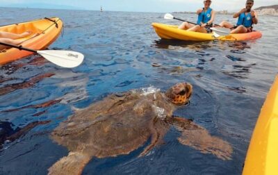 Kayak Safari and Snorkel in a Marine Reserve