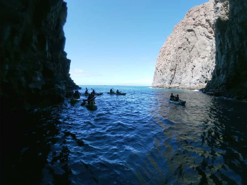 Tenerife: Kayak & Snorkel with Local Fauna, Photos Included - Key things to know before you paddle out