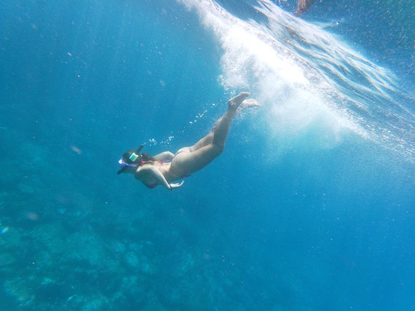 Tenerife: Kayak & Snorkel with Local Fauna, Photos Included - Should you book the Shaka Kayak outing?