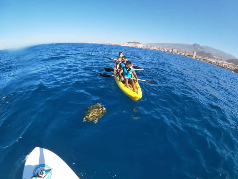 Tenerife: Kayak & Snorkel with Local Fauna, Photos Included - Snorkeling among fish, rays, and turtles
