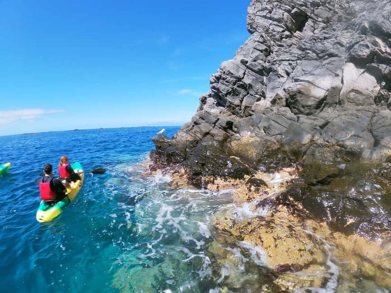 Tenerife: Kayak & Snorkel with Local Fauna, Photos Included - Who will enjoy this three-hour outing