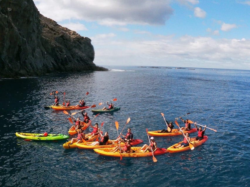 Tenerife: Kayak & Snorkeling, Marine Fauna Watching - Is $53 a fair price?