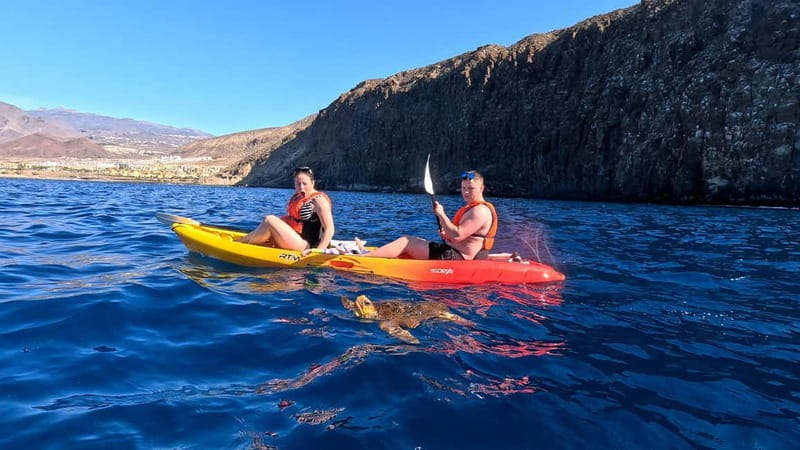 Tenerife: Kayak & Snorkeling Tour - Small Groups - Watching for dolphins near the fish farms