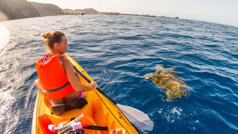 Tenerife: Kayak & Snorkeling Tour - Small Groups - Snorkeling over volcanic rock