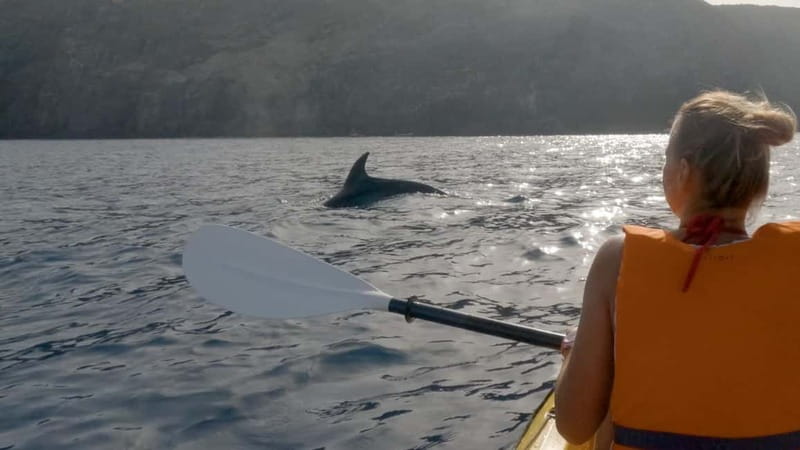 Tenerife: Kayak & Snorkeling Tour - Small Groups - What the $37 price really buys