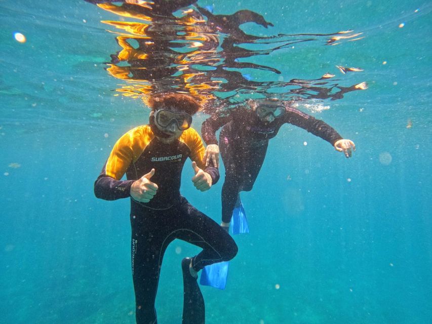 Tenerife: Puerto Colon Snorkel Safari by Speed Boat - Key points to know before booking