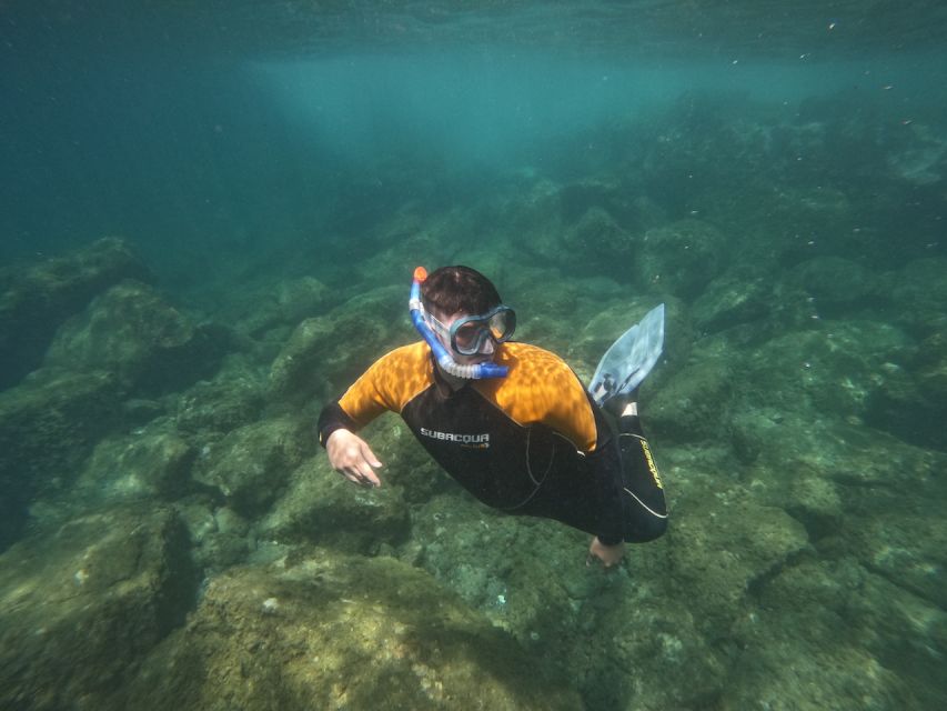 Tenerife: Puerto Colon Snorkel Safari by Speed Boat - What this Puerto Colón outing is really like
