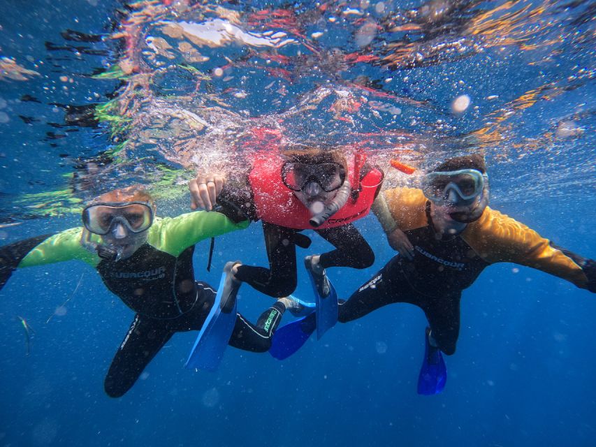 Tenerife: Puerto Colon Snorkel Safari by Speed Boat - A 15-minute speedboat ride along Tenerife’s south coast