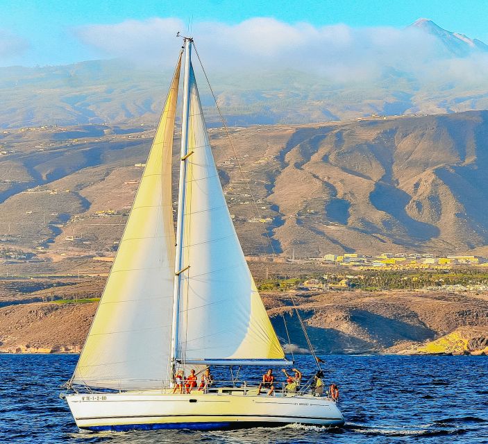 Tenerife: Sailboat Tour Whale Watching Food and Snorkeling - Who Should Book This Sailing Trip?