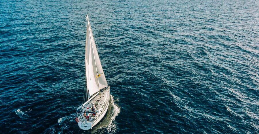 Tenerife: Sailboat Tour Whale Watching Food and Snorkeling - Finding Pilot Whales, Dolphins, and Turtles