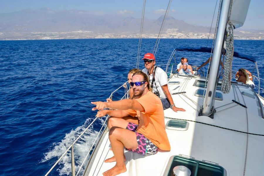 Tenerife: Sailboat Tour Whale Watching Food and Snorkeling - Swimming and Snorkeling in a Sheltered Bay