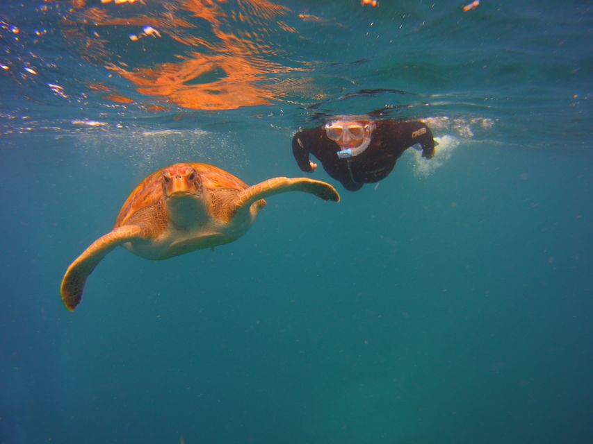 Tenerife: Snorkel with Turtles - Leaving Marina del Sur for Malpais de Rasca