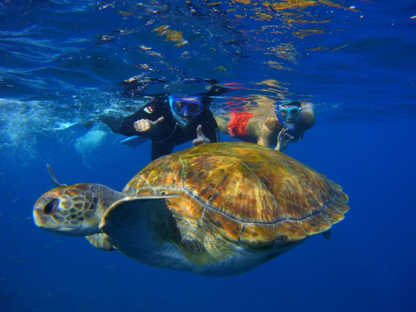 Tenerife: Snorkel with Turtles - The return boat ride and total timing