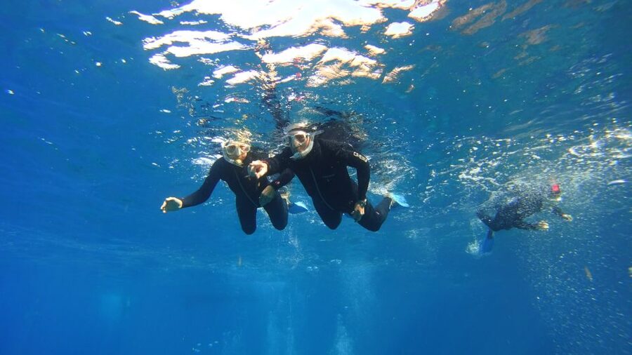 Tenerife: Snorkel with Turtles - Who should book this experience