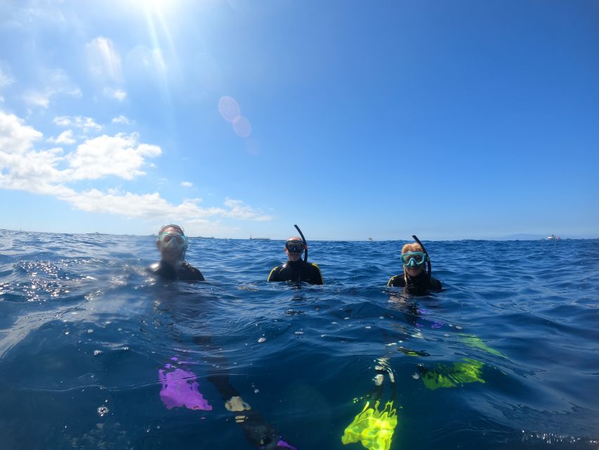 Tenerife Snorkeling boat trip in a Turtle Habitat - Should you book the Tenerife turtle snorkeling trip?