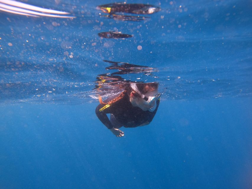 Tenerife Snorkeling boat trip in a Turtle Habitat - What the equipment and safety setup are like