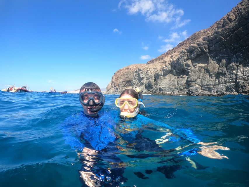 Tenerife Snorkeling boat trip in a Turtle Habitat - How much value do you get for $42?
