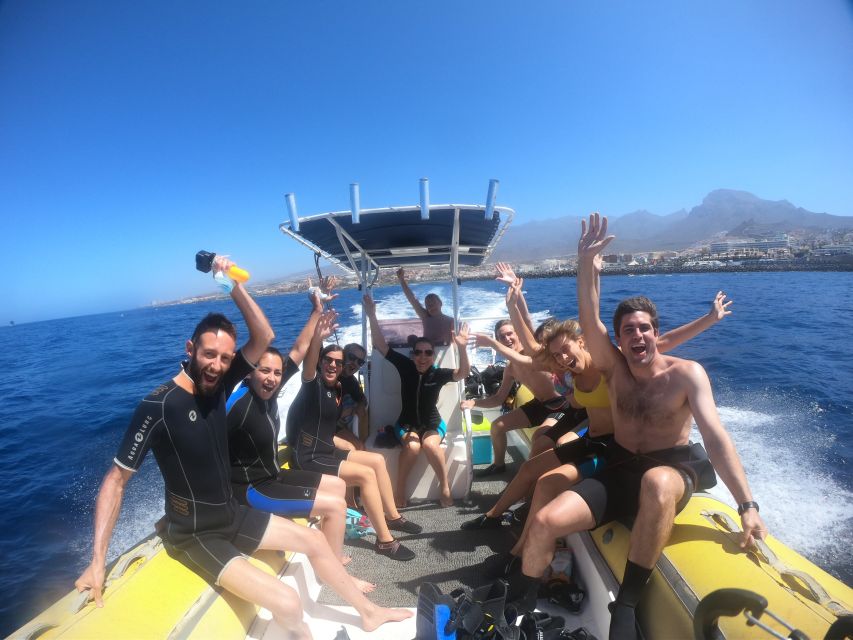 Tenerife Snorkeling boat trip in a Turtle Habitat - Practical tips for a smoother morning or afternoon