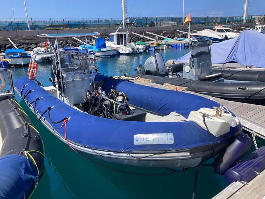 Tenerife: Snorkeling to look for Turtles and Rays - Starting at the snorkeling center