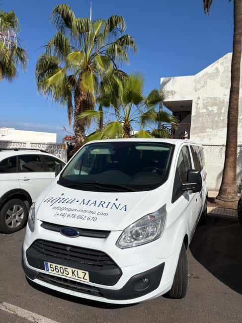 Tenerife: Snorkeling to look for Turtles and Rays - How the crew handles safety