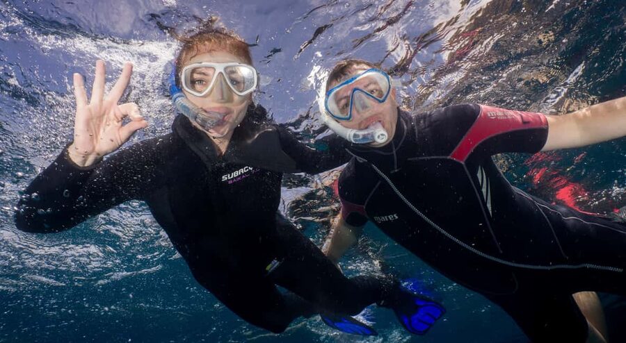 Tenerife: Snorkeling to look for Turtles and Rays - The short transfer to Los Cristianos