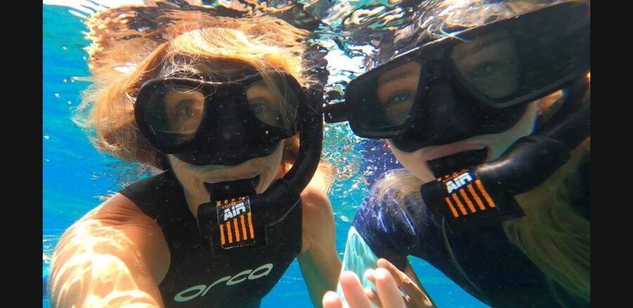 Tenerife: Snorkeling Tour in a Marine Protected Area - What the Abades Snorkeling Tour Is Really Like