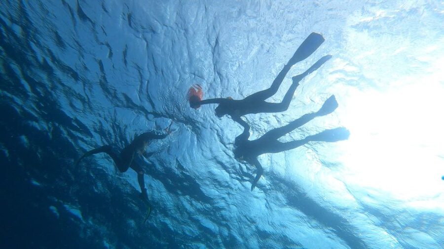 Tenerife: Snorkeling Tour in a Marine Protected Area - Is $45 a Fair Price?