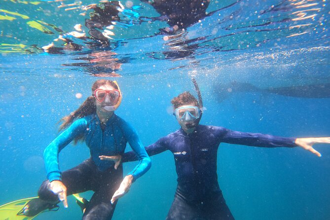 Tenerife Snorkeling Tour in turtle habitat - What to bring and how to prepare