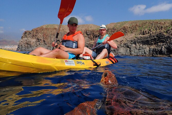 Tenerife: Turtle & Dolphin Kayak Tour with Snorkel & Wetsuit - Starting in Los Cristianos with the right expectations