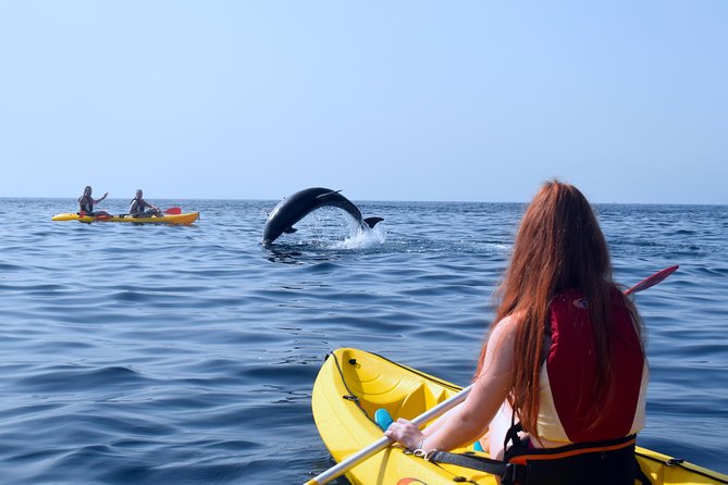 Tenerife: Turtle & Dolphin Kayak Tour with Snorkel & Wetsuit - The snorkel stop and what you may see below