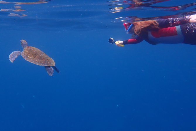 Tenerife: Turtle & Dolphin Kayak Tour with Snorkel & Wetsuit - The return paddle and the Mount Teide view