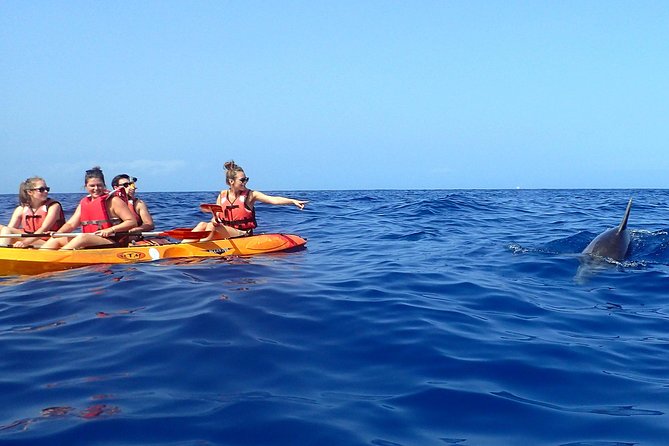 Tenerife: Turtle & Dolphin Kayak Tour with Snorkel & Wetsuit - How hard is the 6-kilometer paddle?