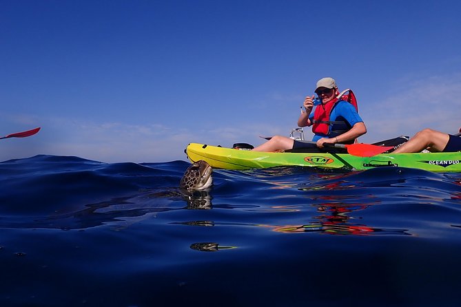 Tenerife: Turtle & Dolphin Kayak Tour with Snorkel & Wetsuit - Is $42.33 good value in Tenerife?