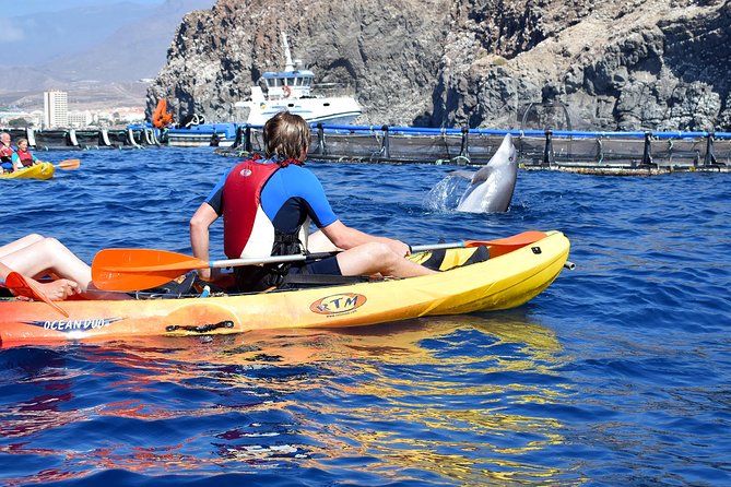 Tenerife: Turtle & Dolphin Kayak Tour with Snorkel & Wetsuit - Should you book this kayak tour?