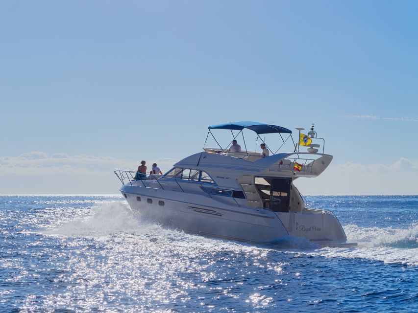 Tenerife: Whales and Snorkeling Tour on a Luxury Yacht - The secluded bay: swimming and snorkeling