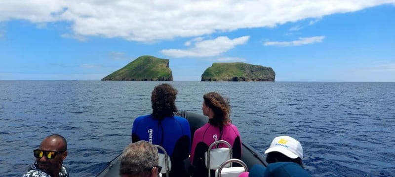 Terceira Island: Ilhéu das Cabras Boat Tour + Snorkeling - What you can see beneath the surface