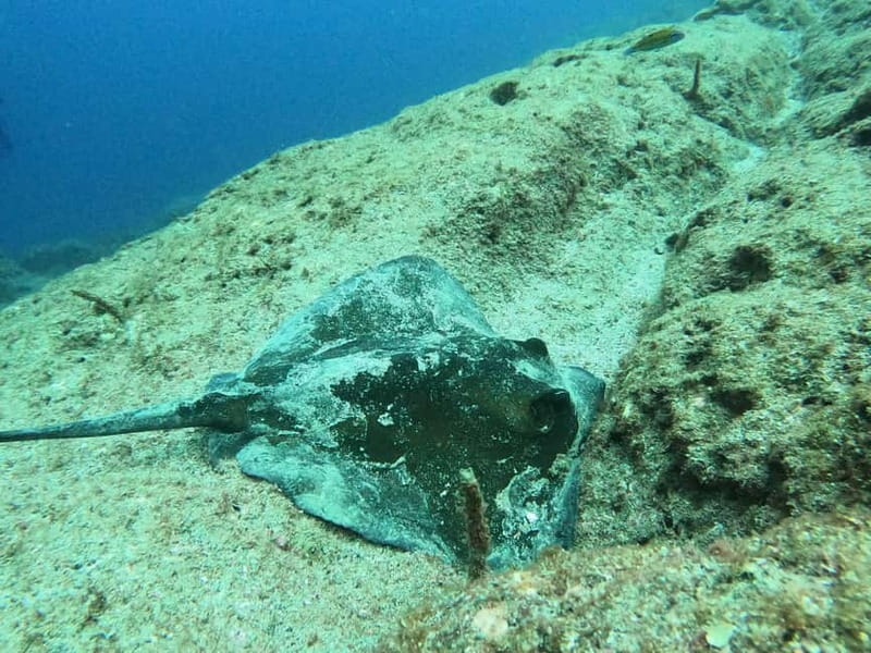 Terceira Island: Snorkeling Adventure - What I would bring