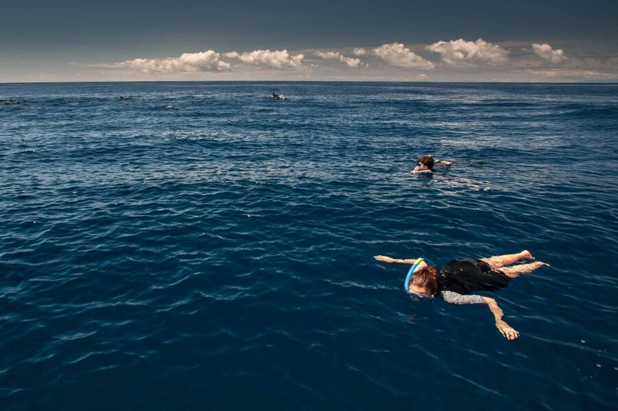 Terceira Island: Snorkeling Wildlife | Protected Areas - Entering the protected marine areas