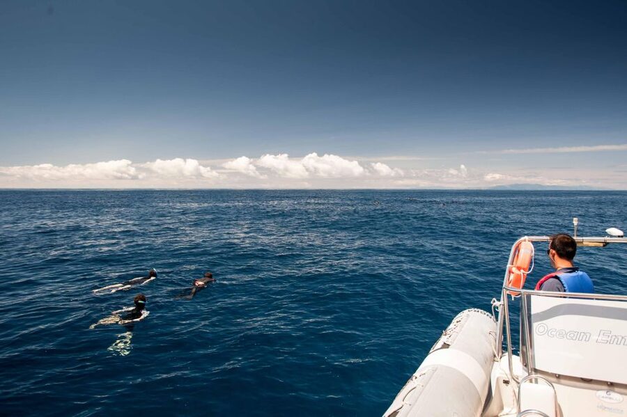Terceira Island: Snorkeling Wildlife | Protected Areas - What the safety briefing tells you