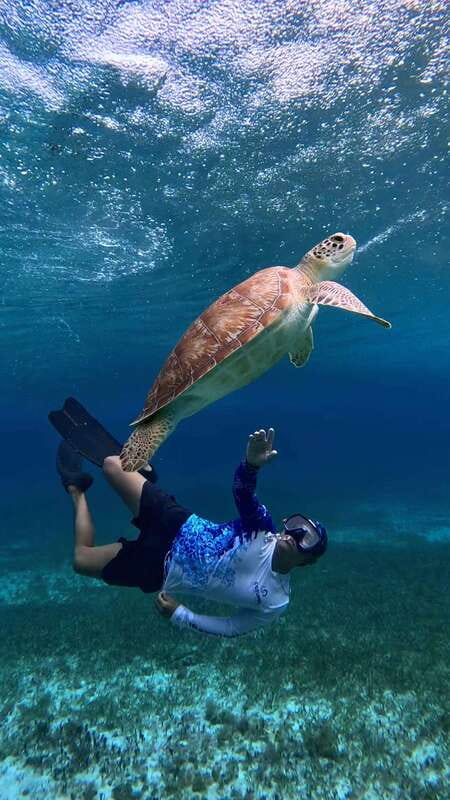 The Cozumel Turtle Sanctuary Snorkel Tour - What to pack and what to leave behind