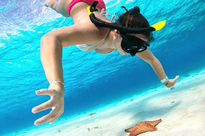 The Cozumel Turtle Sanctuary Snorkel Tour - Why this Cozumel snorkel trip works so well
