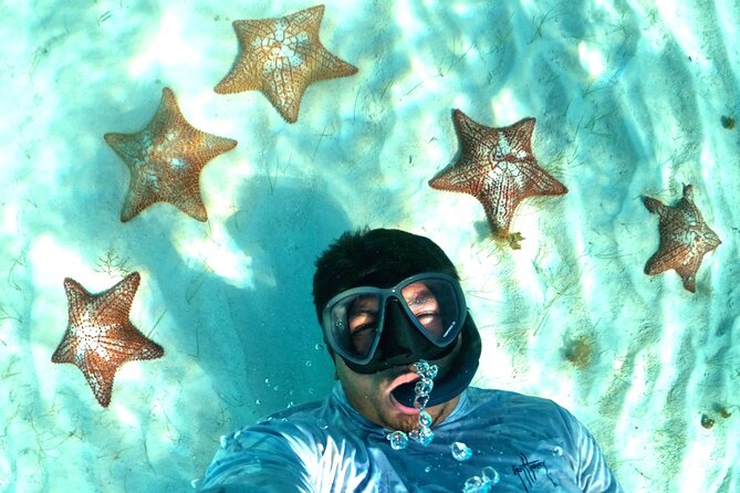 The Cozumel Turtle Sanctuary Snorkel Tour - Colombia Reef and Palancar Reef set the tone